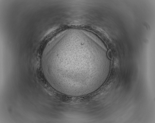 X0000112781350200909031621