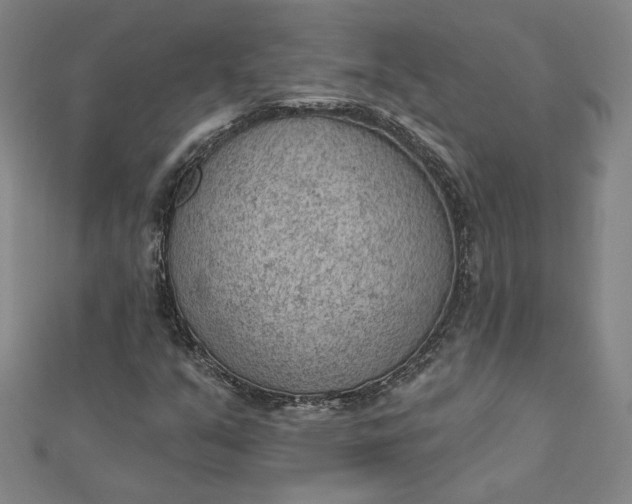 X0000112781351200909031621