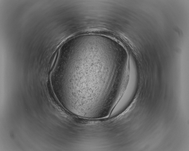 X0000112781353200909031621