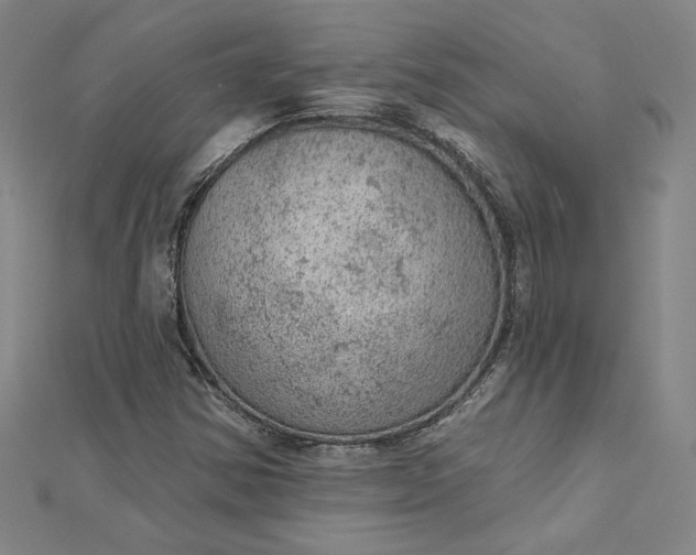 X0000112781354200909031621