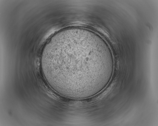 X0000112781355200909031621