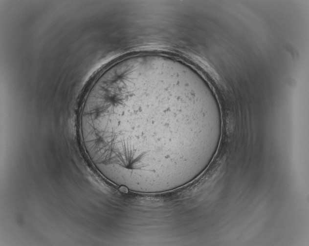 X0000112781356200909031621