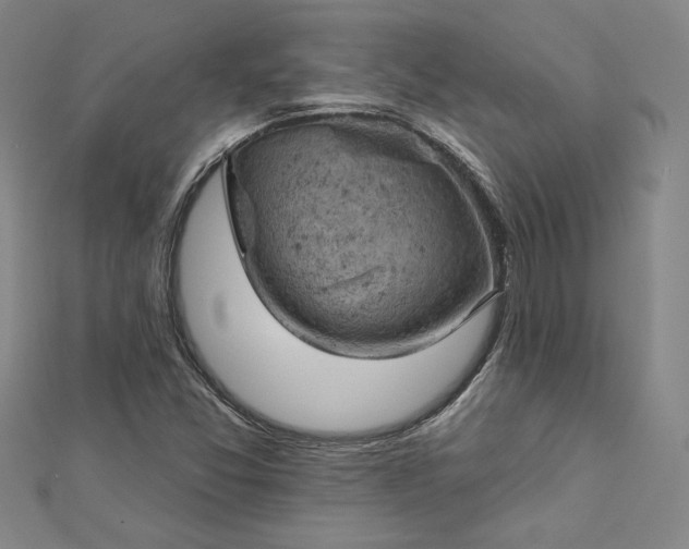 X0000112781357200909031621