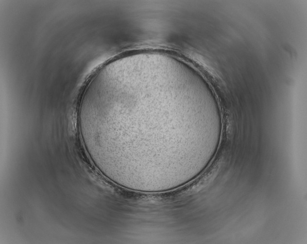 X0000112781358200909031621