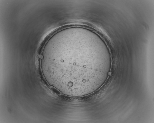 X0000112781360200909031621