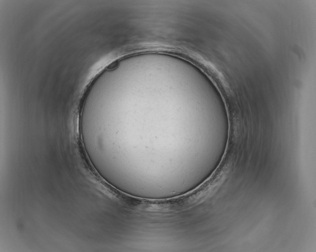 X0000112781365200909031621