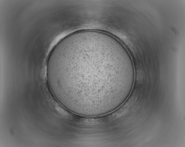 X0000112781366200909031621