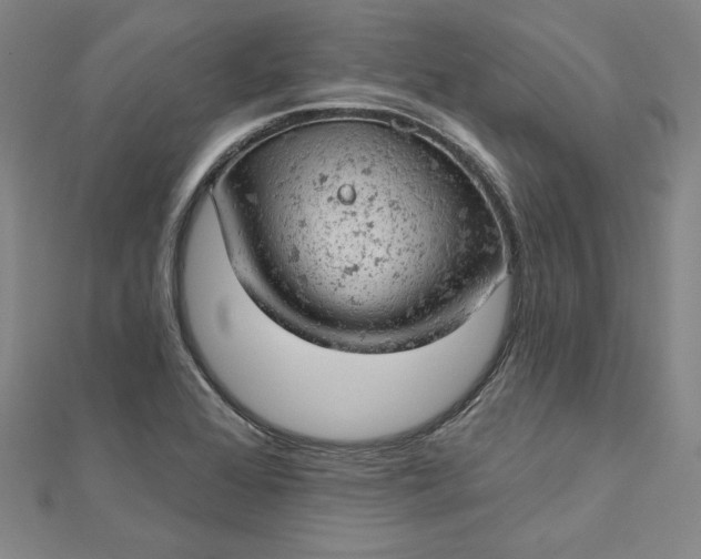 X0000112781368200909031621