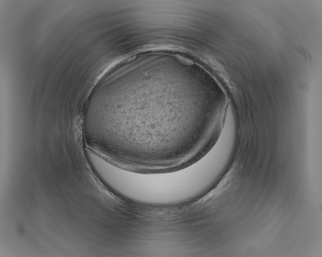 X0000112781369200909031621