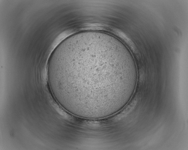 X0000112781370200909031621