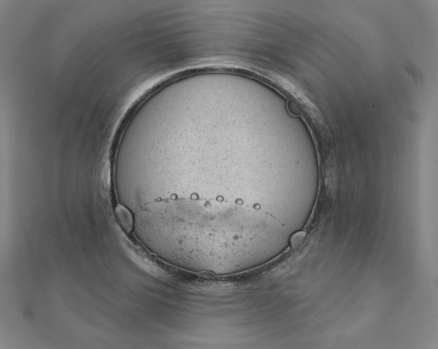 X0000112781372200909031621