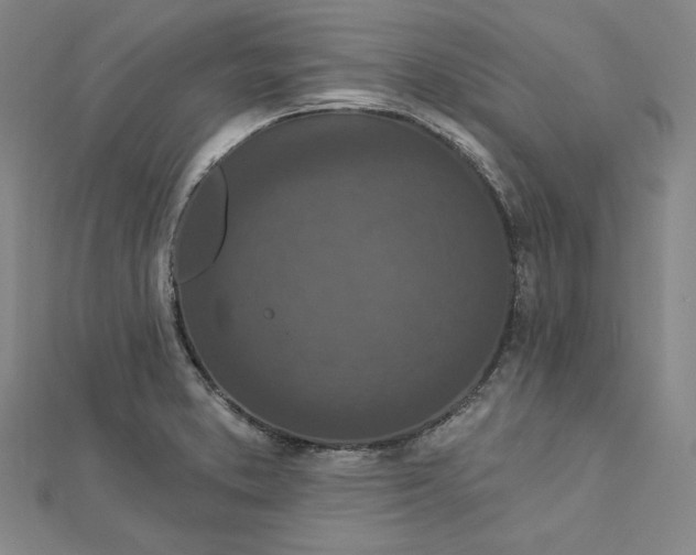 X0000112781373200909031621