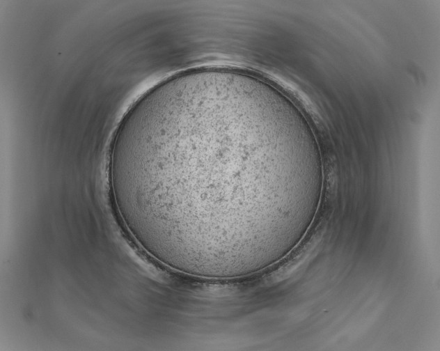 X0000112781375200909031621