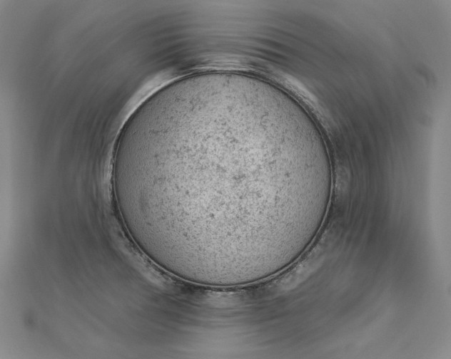 X0000112781378200909031621