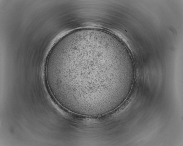 X0000112781379200909031621