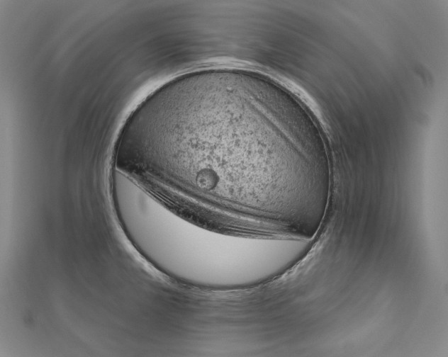 X0000112781381200909031621