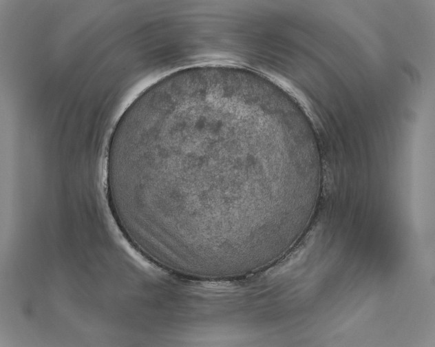 X0000112781383200909031621