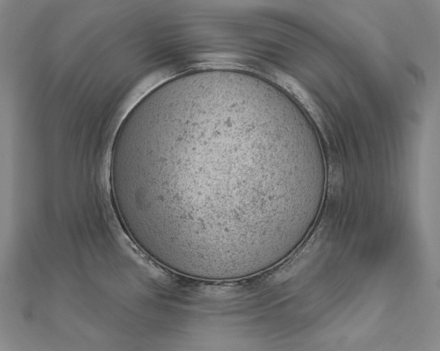 X0000112781386200909031621