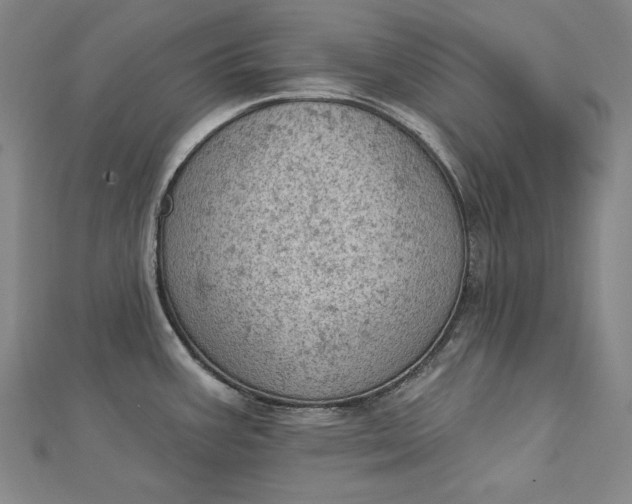 X0000112781387200909031621