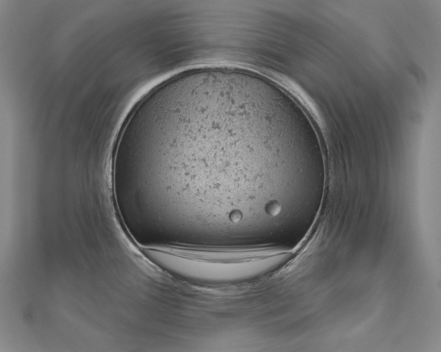 X0000112781388200909031621