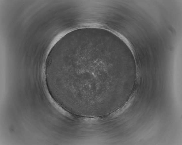 X0000112781389200909031621