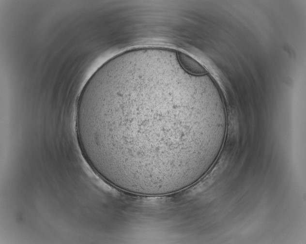 X0000112781390200909031621