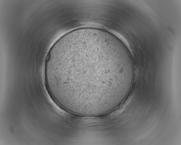 X0000112781391200909031621