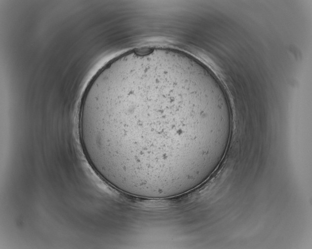 X0000112781392200909031621