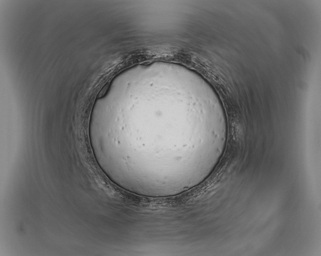 X0000112781393200909031620