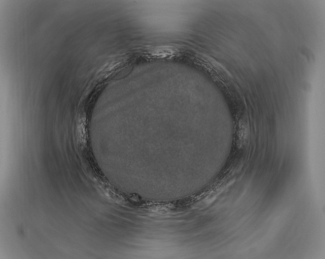 X0000112781394200909031620