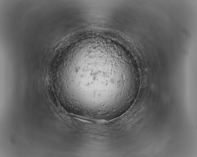 X0000112781397200909031620