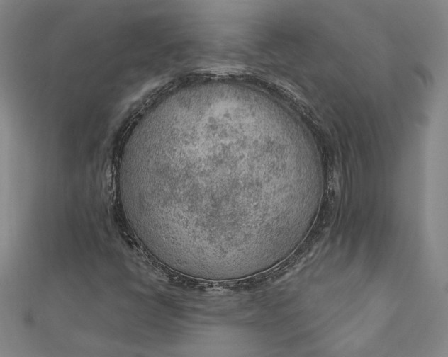 X0000112781398200909031620