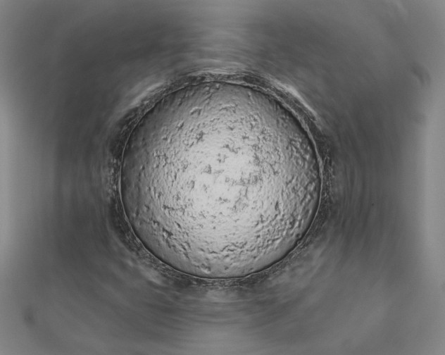 X0000112781399200909031620