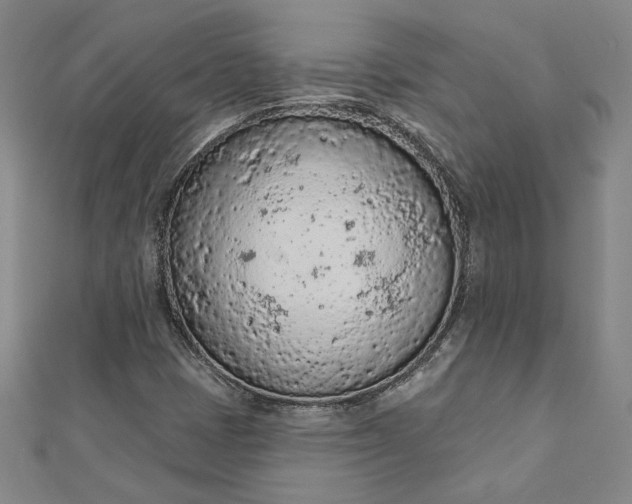 X0000112781401200909031620