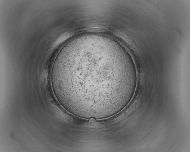 X0000112781402200909031620