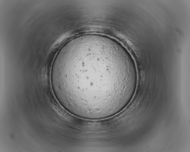 X0000112781403200909031620