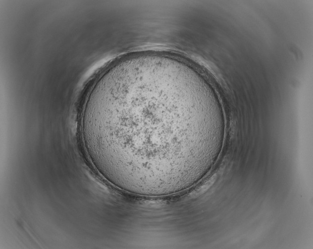 X0000112781406200909031620