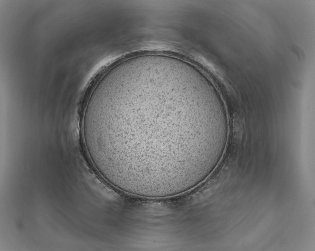 X0000112781408200909031620