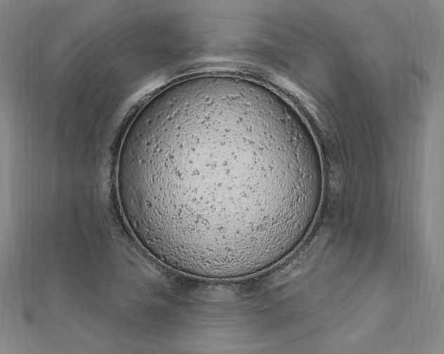 X0000112781411200909031621