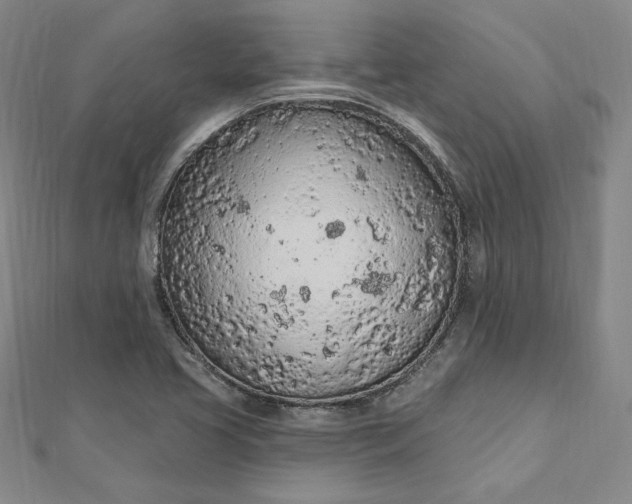 X0000112781413200909031621