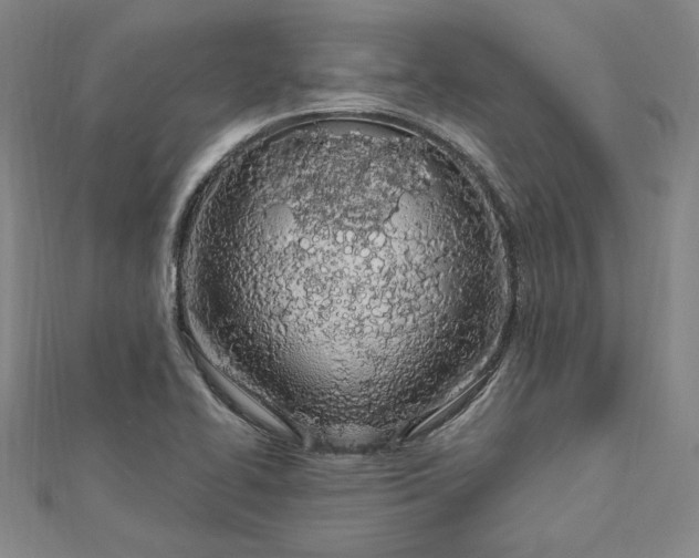 X0000112781414200909031621