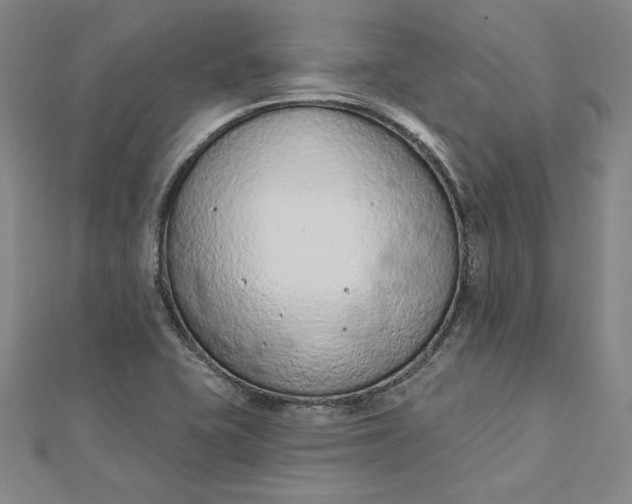 X0000112781415200909031621