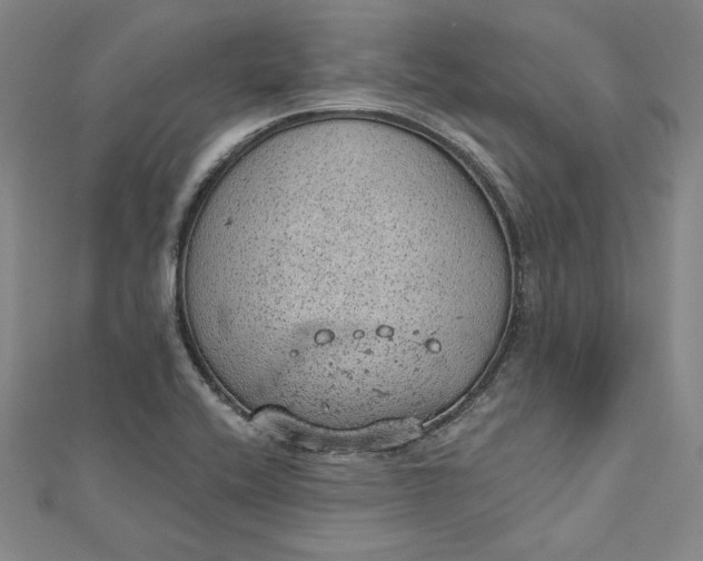 X0000112781416200909031621