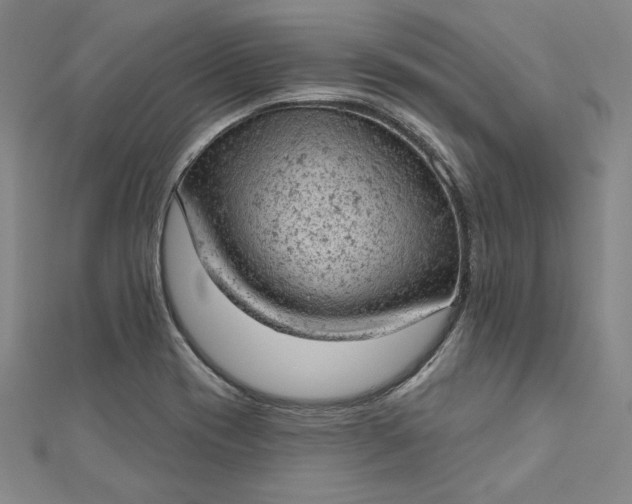 X0000112781417200909031621