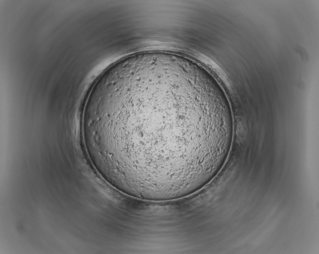 X0000112781419200909031621