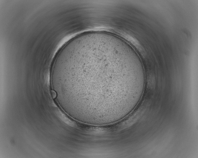 X0000112781420200909031621