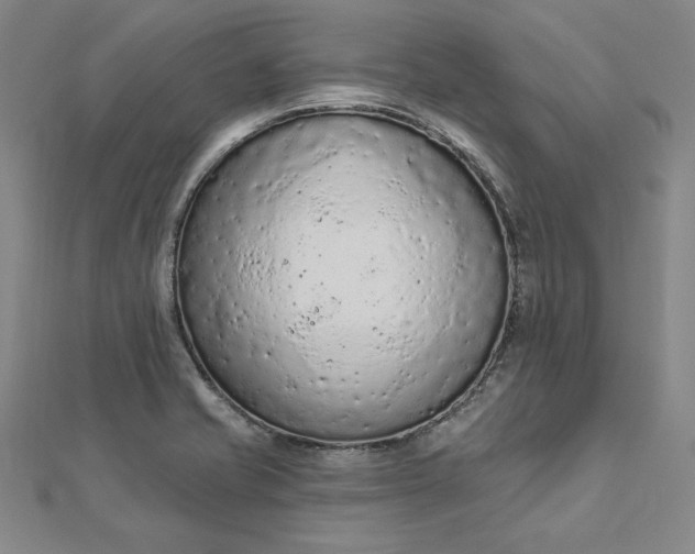 X0000112781421200909031621