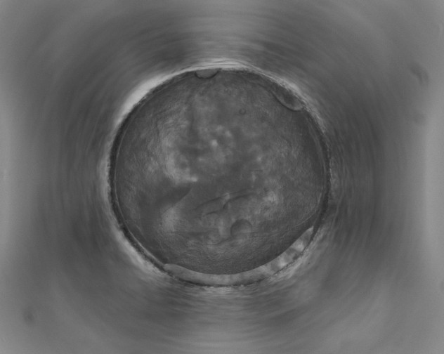 X0000112781422200909031621