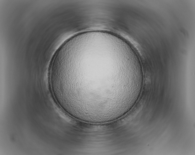 X0000112781423200909031621