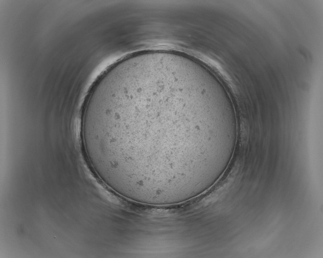 X0000112781424200909031621